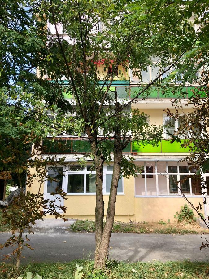 Apartament Toplita Kültér fotó